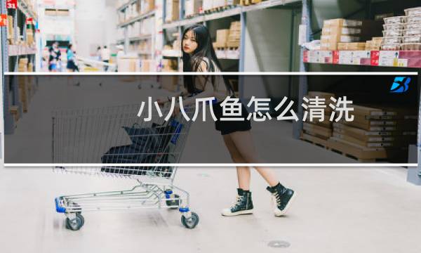 小八爪鱼怎么清洗 - 迷你小八爪鱼需要去内脏吗