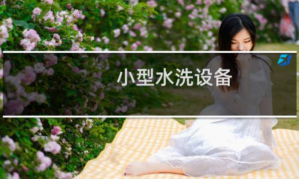 小型水洗设备 - 小型水洗机的价格