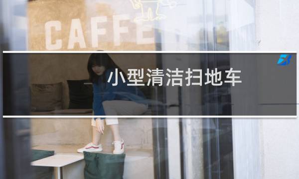 小型清洁扫地车 - 小型清洁扫地车价格