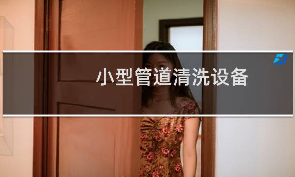 小型管道清洗设备 -