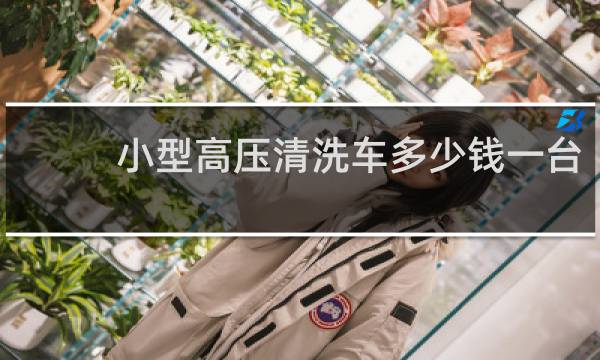 小型高压清洗车多少钱一台 - 小型道路高压清洗车