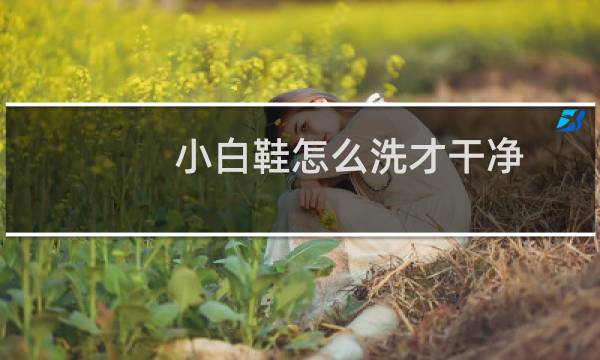 小白鞋怎么洗才干净 - 皮质小白鞋脏了如何清理干净