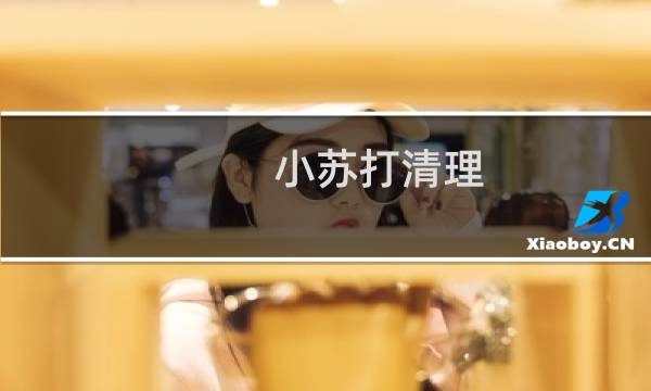 小苏打清理 - 小苏打如何清洁