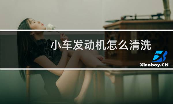小车发动机怎么清洗 - 汽车发动机可以用水清洗吗