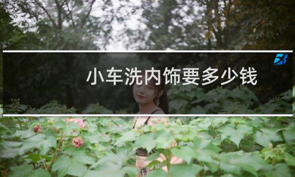 小车洗内饰要多少钱 - 汽车洗一下内饰多少钱