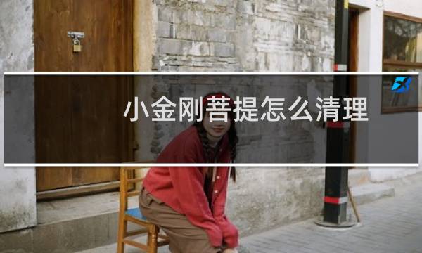 小金刚菩提怎么清理 - 刚入手的金刚菩提子怎么清理