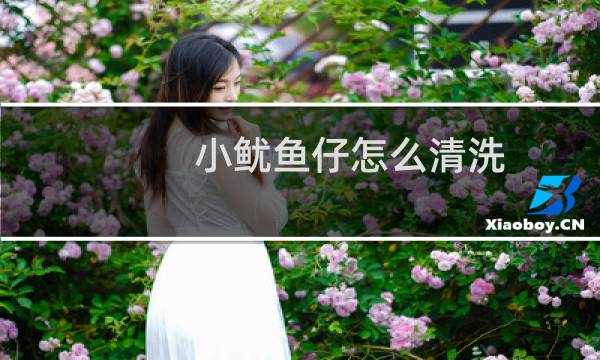 小鱿鱼仔怎么清洗 - 小鱿鱼仔怎么清洗处理视频