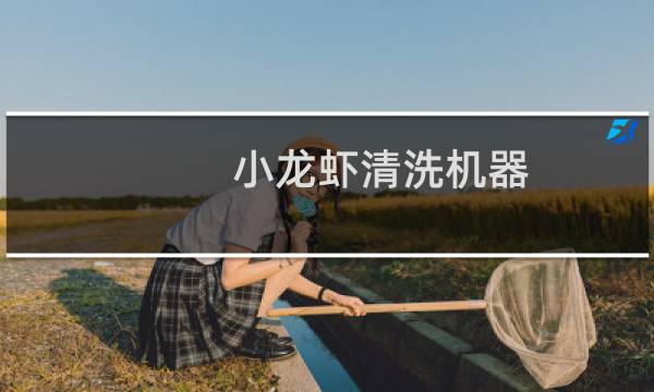 小龙虾清洗机器 - 超声波清洗小龙虾干净吗