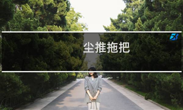 尘推拖把 - 尘推拖把价格是多少一把