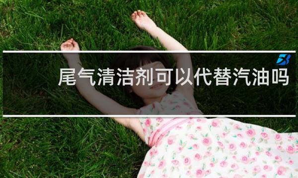 尾气清洁剂可以代替汽油吗 - 汽车尾气清洁剂有用吗