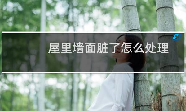 屋里墙面脏了怎么处理 - 室内墙面脏了怎么办