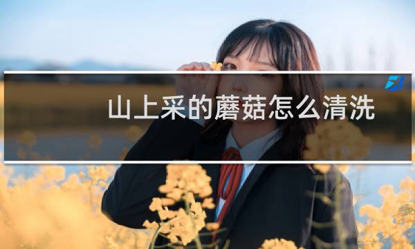 山上采的蘑菇怎么清洗 - 山上采的黑蘑菇
