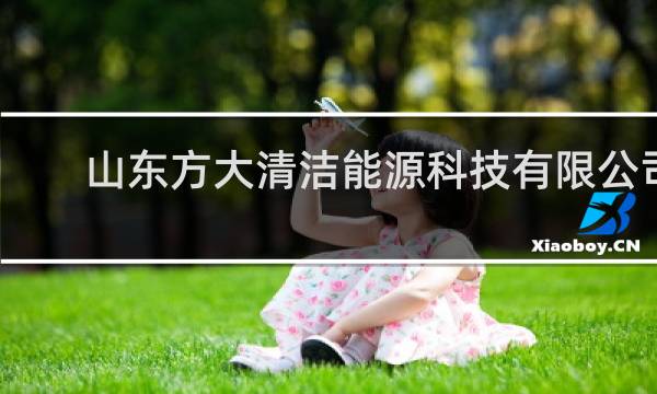 山东方大清洁能源科技有限公司 - 山东方大能源科技煤粉厂