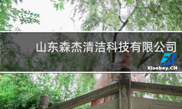 山东森杰清洁科技有限公司 - 山东森杰化工有限公司