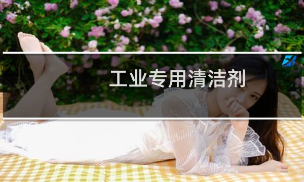 工业专用清洁剂 -