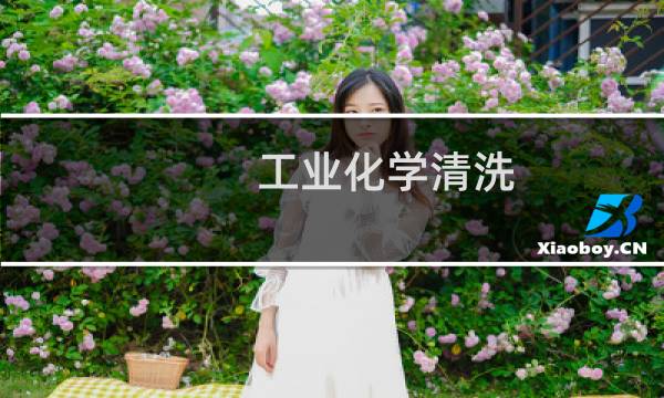 工业化学清洗 - 上海化学清洗公司