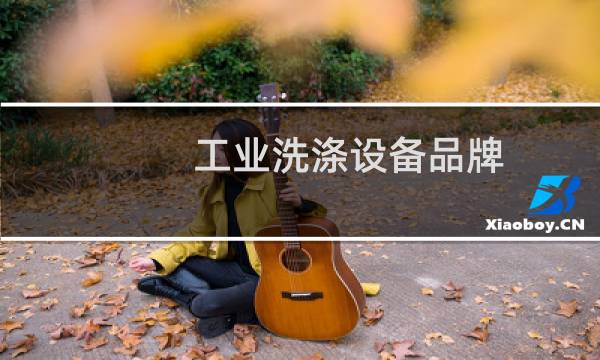工业洗涤设备品牌 - 工业洗涤设备厂家排名