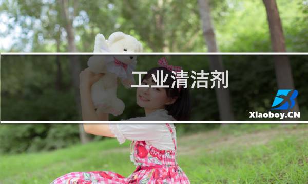 工业清洁剂 - 工业清洗剂有哪几种