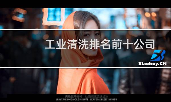 工业清洗排名前十公司 - 工业加工零件清洗机厂家排名