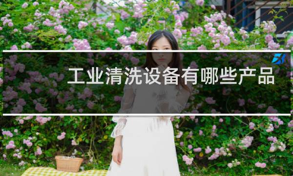 工业清洗设备有哪些产品 - 工业机械清洗设备