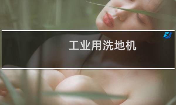 工业用洗地机 - 工业洗地机清扫机市场