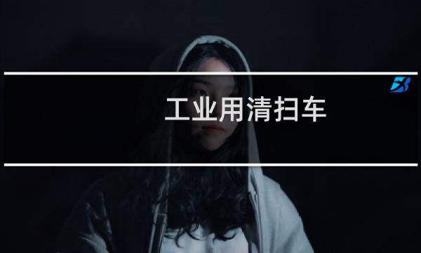 工业用清扫车 -