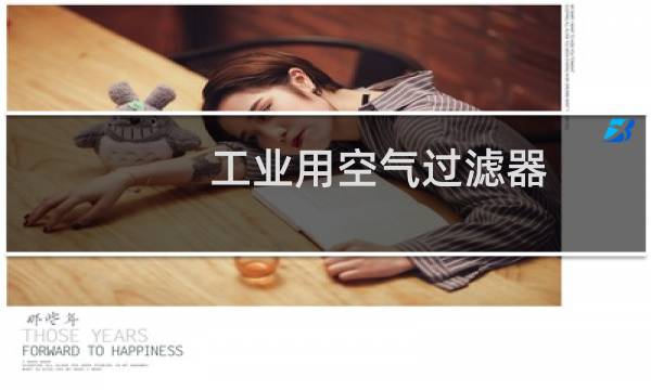 工业用空气过滤器 - 工业气体过滤器
