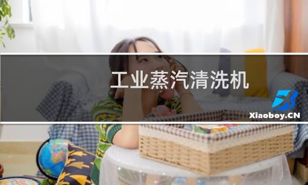 工业蒸汽清洗机 - 工业高压蒸汽清洗设备