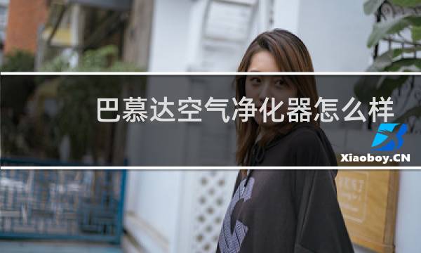 巴慕达空气净化器怎么样 - 巴慕达空气净化器拆解图