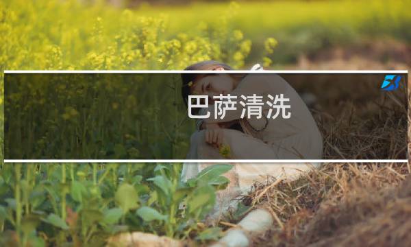 巴萨清洗 - 巴萨清洗名单
