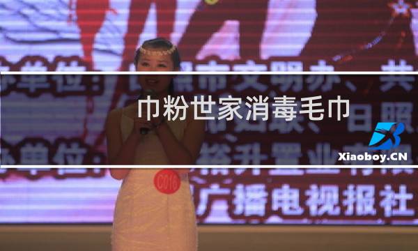巾粉世家消毒毛巾 - 一次性毛巾消毒公司