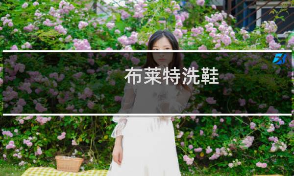 布莱特洗鞋 - 洗鞋技术培训