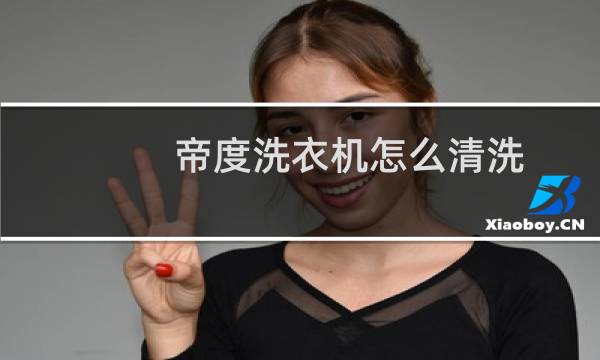 帝度洗衣机怎么清洗 - 帝度洗衣机怎么清洗内槽