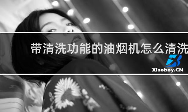 带清洗功能的油烟机怎么清洗 - 自动清洗的抽油烟机怎么清洗