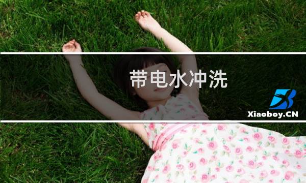 带电水冲洗 - 带电水冲洗用的水要求