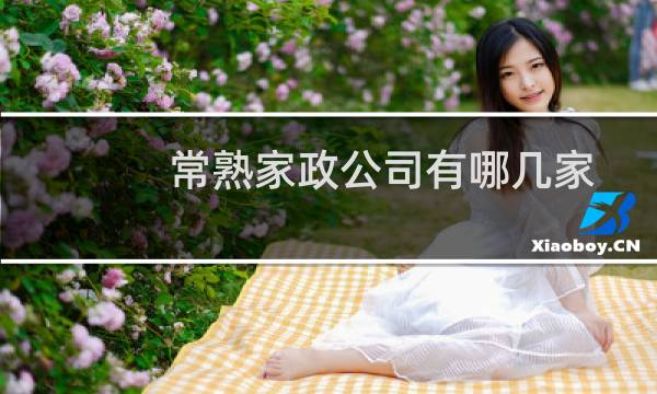 常熟家政公司有哪几家 - 常熟辛庄家政公司