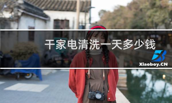 干家电清洗一天多少钱 - 家电清洗一个月能挣多少钱