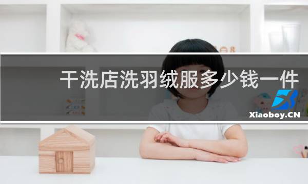 干洗店洗羽绒服多少钱一件 - 洗一件羽绒服多少钱