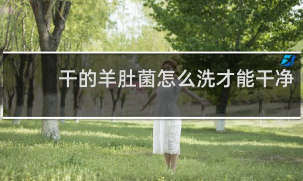 干的羊肚菌怎么洗才能干净 - 清洗干羊肚菌的正确方法