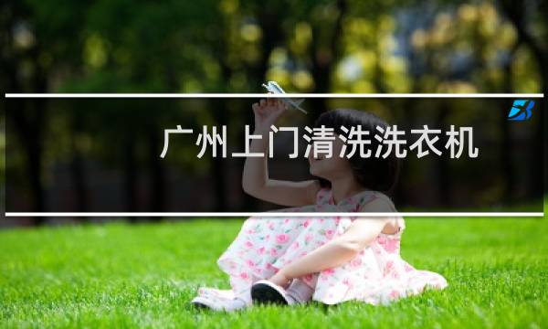 广州上门清洗洗衣机 - 洗衣机专业清洗上门服务