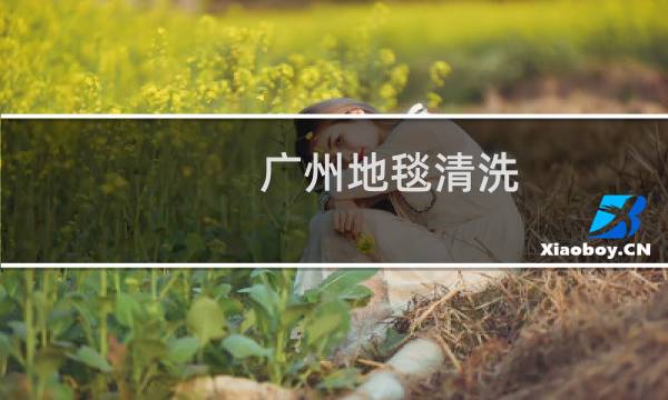 广州地毯清洗 - 广州市地毯清洗公司