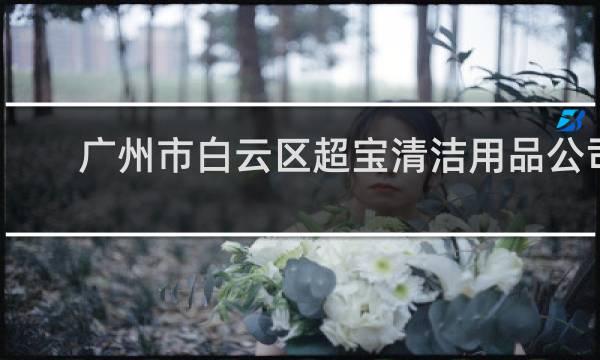 广州市白云区超宝清洁用品公司 - 中国超宝清洁用品集团公司