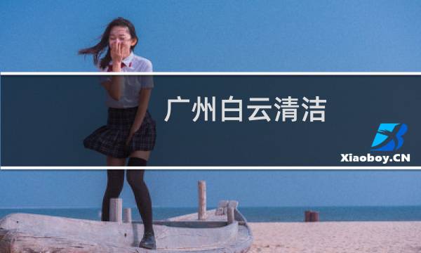 广州白云清洁 - 白云清洁佳美与洁霸生产厂家