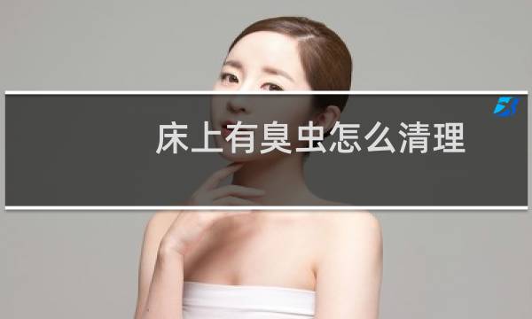 床上有臭虫怎么清理 - 床上有臭虫怎么办