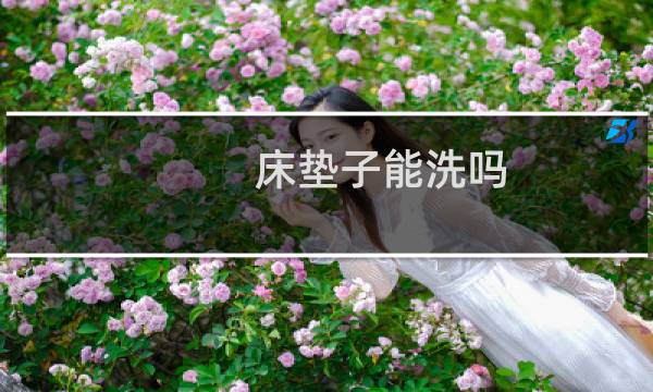 床垫子能洗吗 - 整个床垫用水洗可以吗