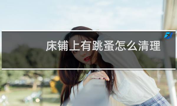 床铺上有跳蚤怎么清理 - 床上快速找到跳蚤的方法