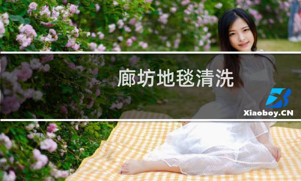 廊坊地毯清洗 - 廊坊市清洗地毯服务