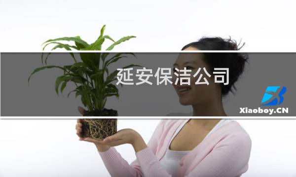 延安保洁公司 - 延安市宝塔区圣地保洁公司