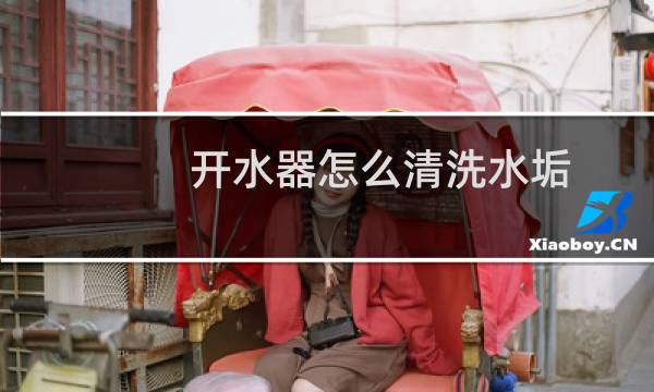 开水器怎么清洗水垢 - 商用开水器怎么清洗水垢