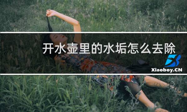开水壶里的水垢怎么去除 - 牙膏可以去除电水壶水垢吗